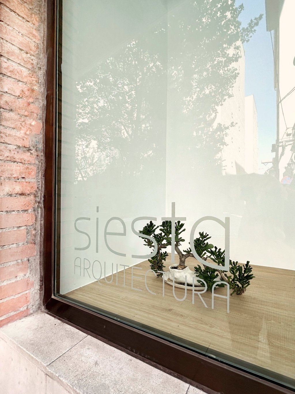 estudio-siesta-arquitectura